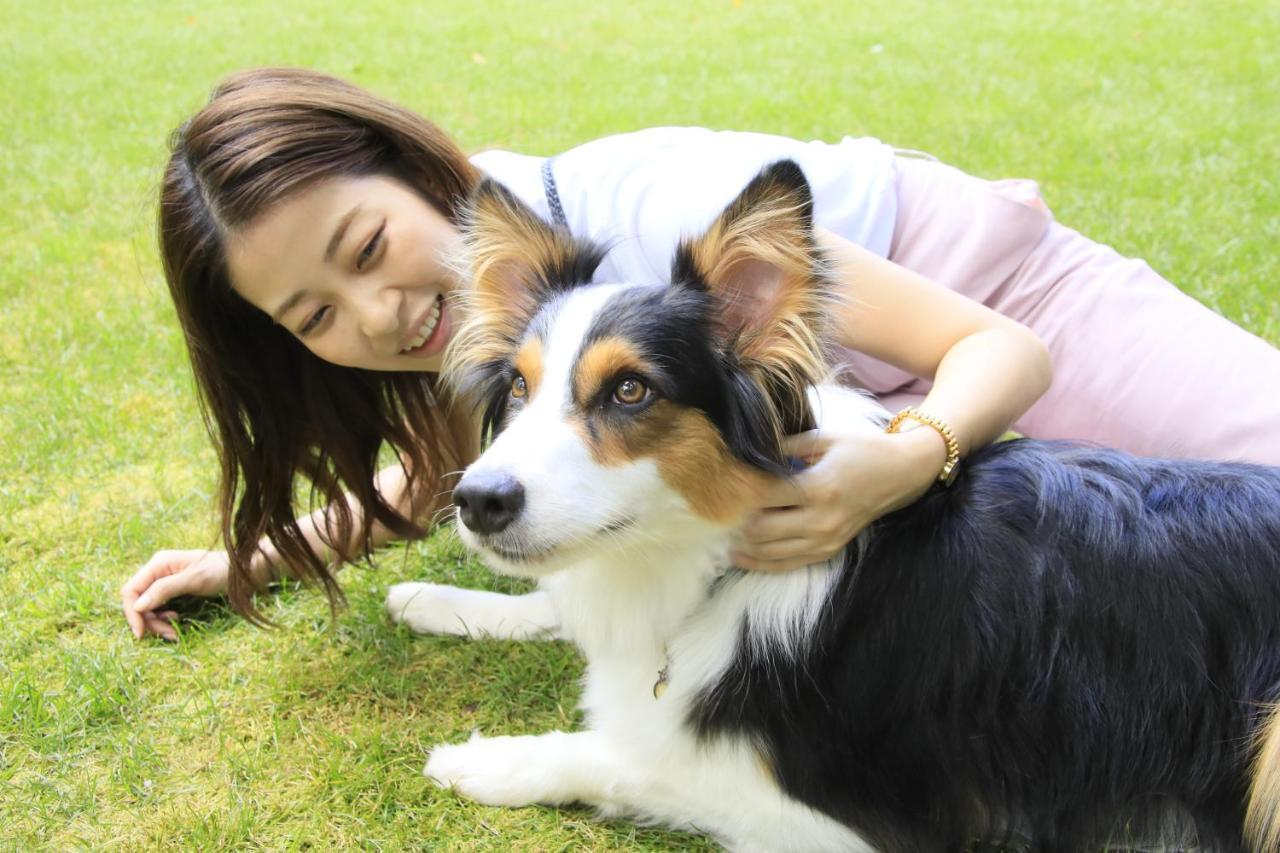 Yutorelo Tateshina Hotel With Dogs 茅野 外观 照片